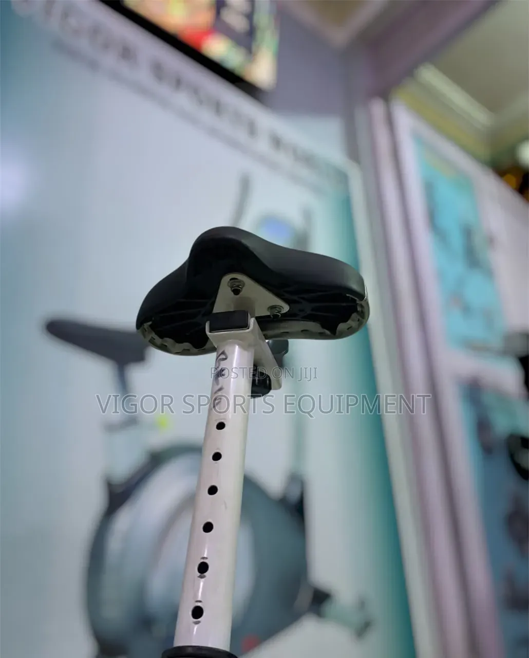 Stationary Gym Bike