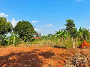 Plot for Sale Located in Kira-Kimwanyi