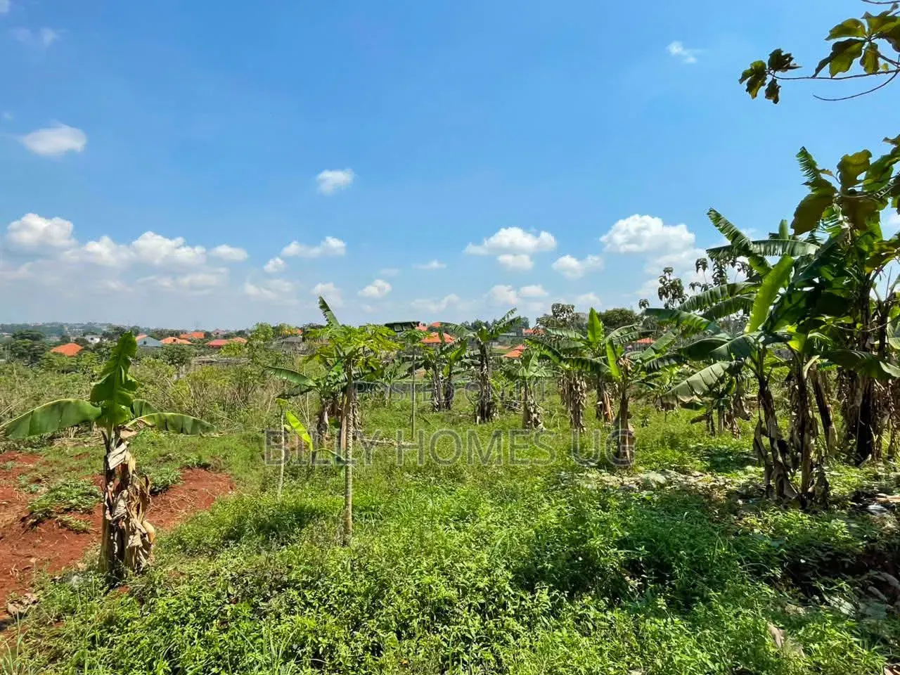 Plot for Sale Located in Kira-Kimwanyi