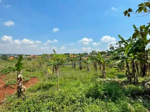 Plot for Sale Located in Kira-Kimwanyi