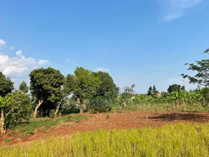 Plot for Sale Located in Kira-Kimwanyi