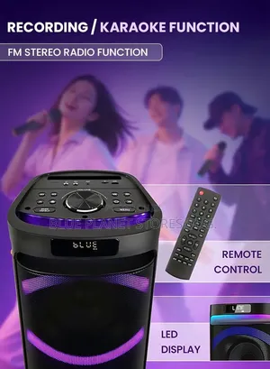 SONASHI Dual 6.5" Rechargeable Speakers With 2 Wireless Microphones.