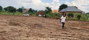 13m Titled Plots