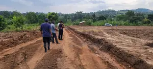 13m Titled Plots