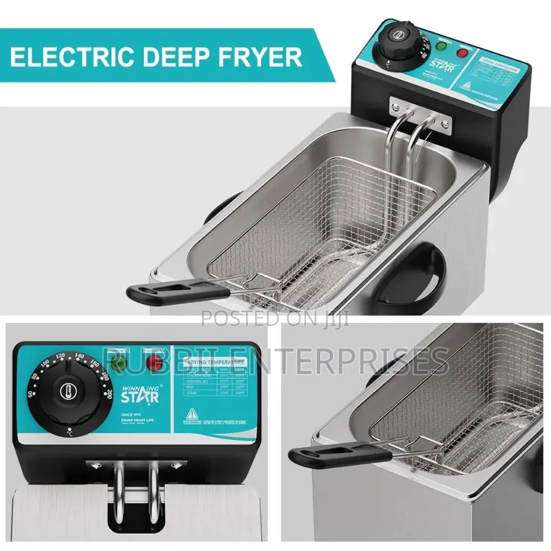 Winning Star ST-9203 4L Electric Deep Fryer
