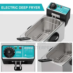Winning Star ST-9203 4L Electric Deep Fryer
