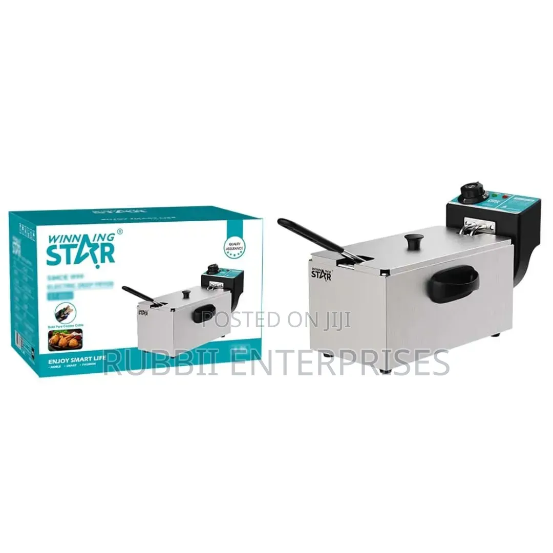 Winning Star ST-9203 4L Electric Deep Fryer