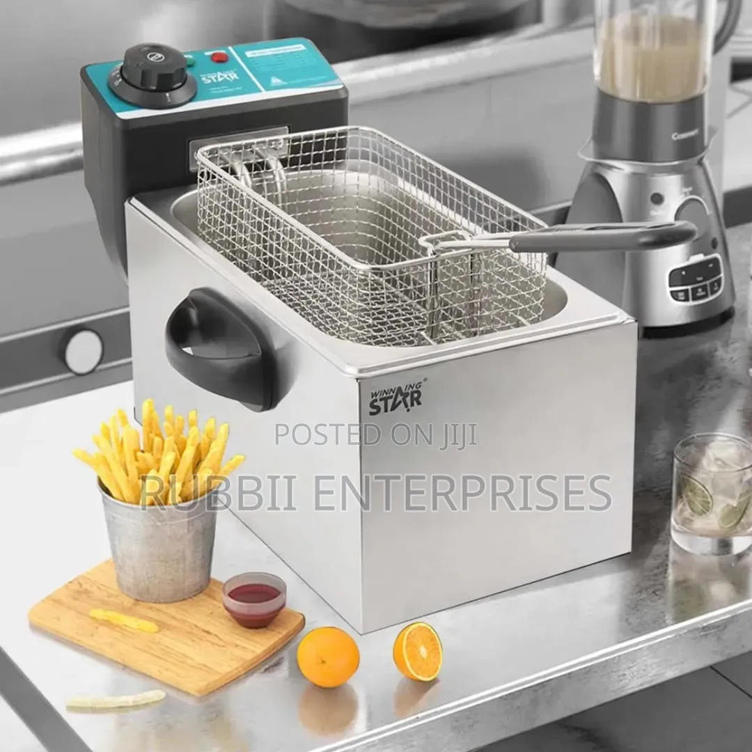 Winning Star ST-9203 4L Electric Deep Fryer