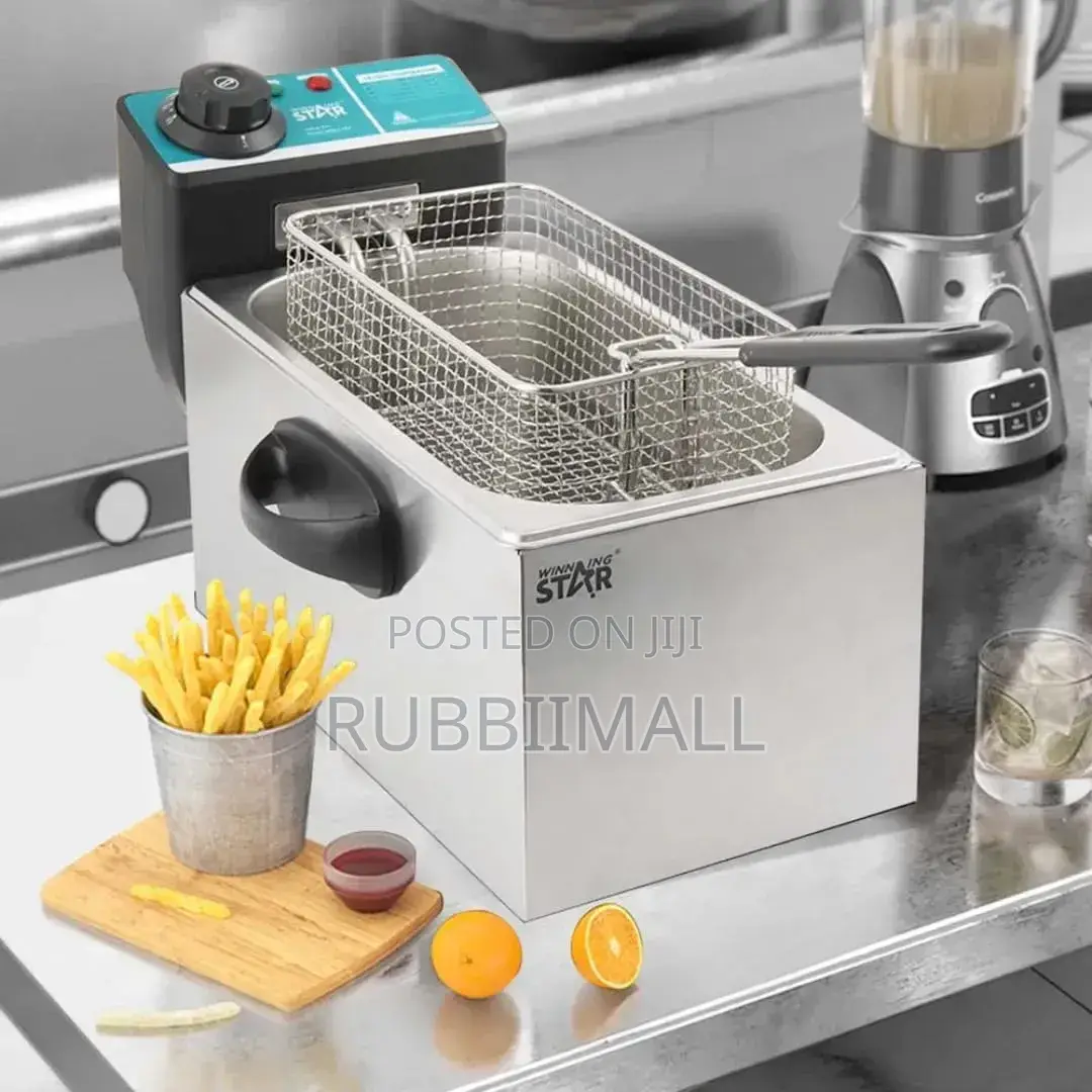 Winning Star ST-9203 4L Electric Deep Fryer