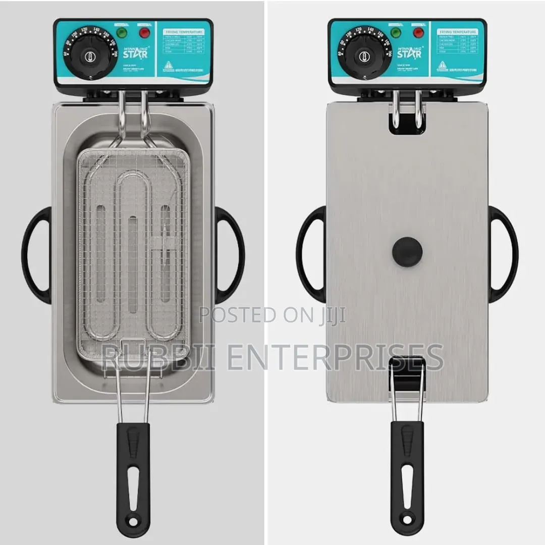 Winning Star ST-9203 4L Electric Deep Fryer
