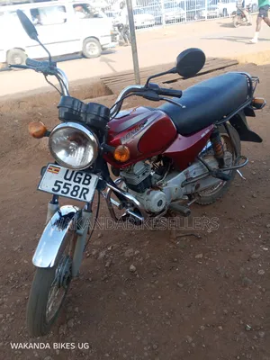 Bajaj Boxer 100 2024 Red