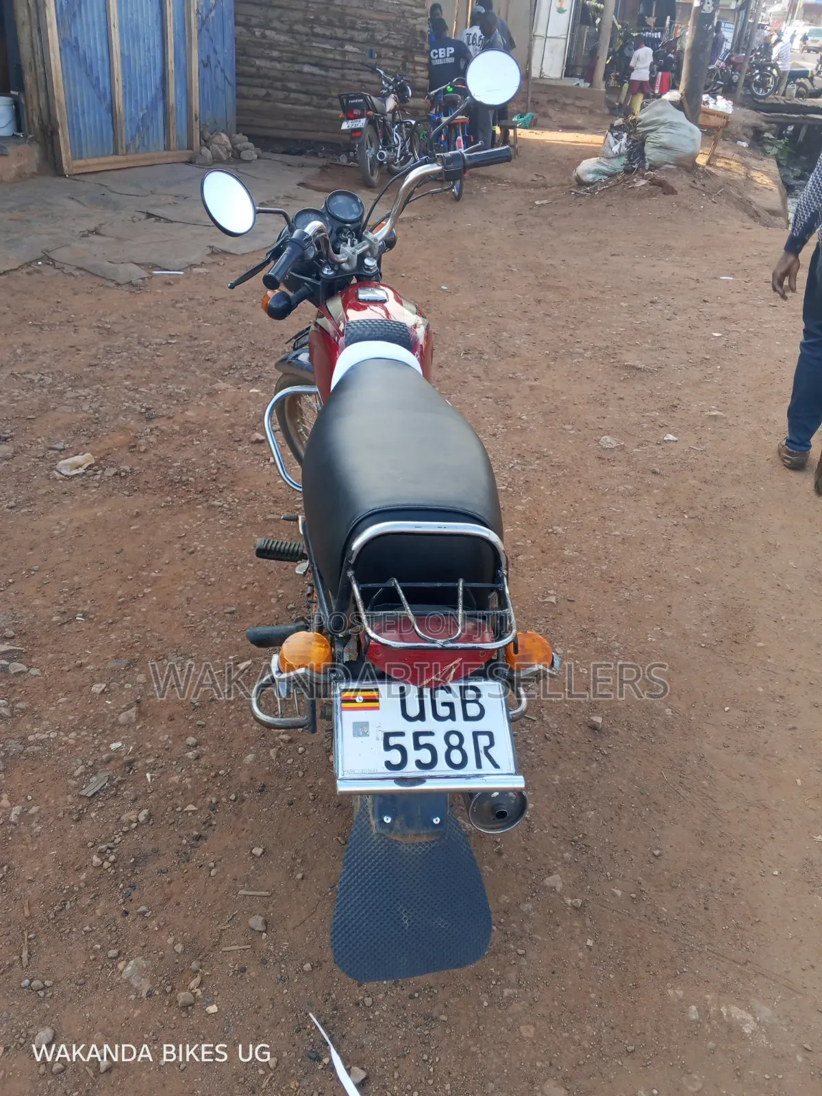 Bajaj Boxer 100 2024 Red