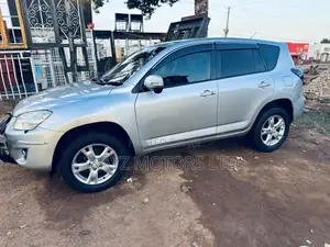 Toyota RAV4 2009 Silver