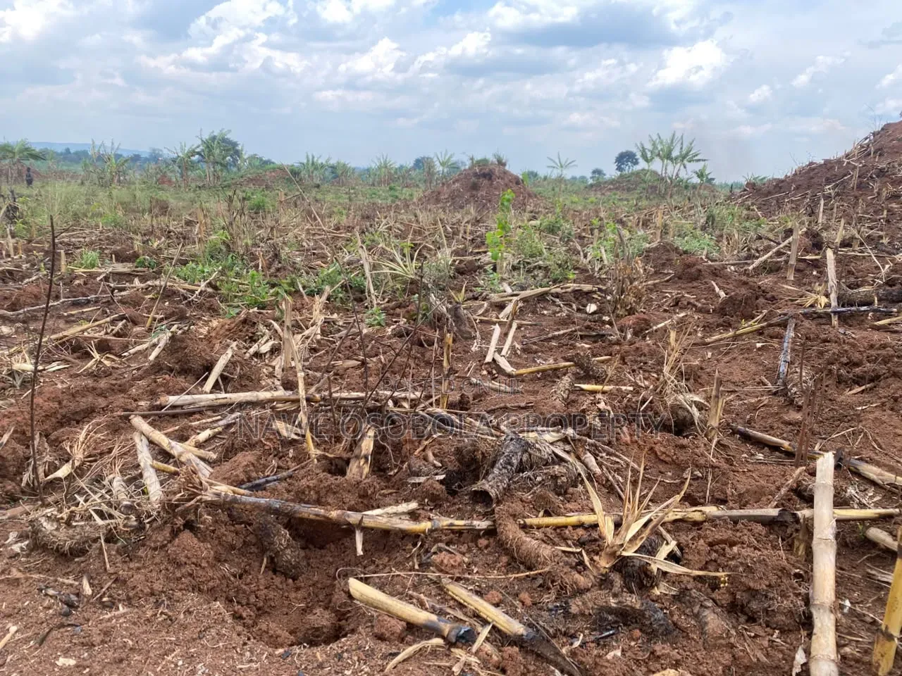 100 Acres for Sale in Kakooge- Nakasongola