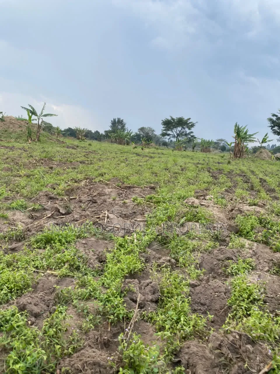 100 Acres for Sale in Kakooge- Nakasongola
