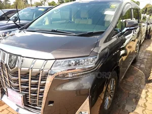 Toyota Alphard 2020 Gray