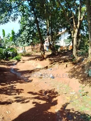 Land for Sale: 32 Decimals at Makerere Near Makerere University
