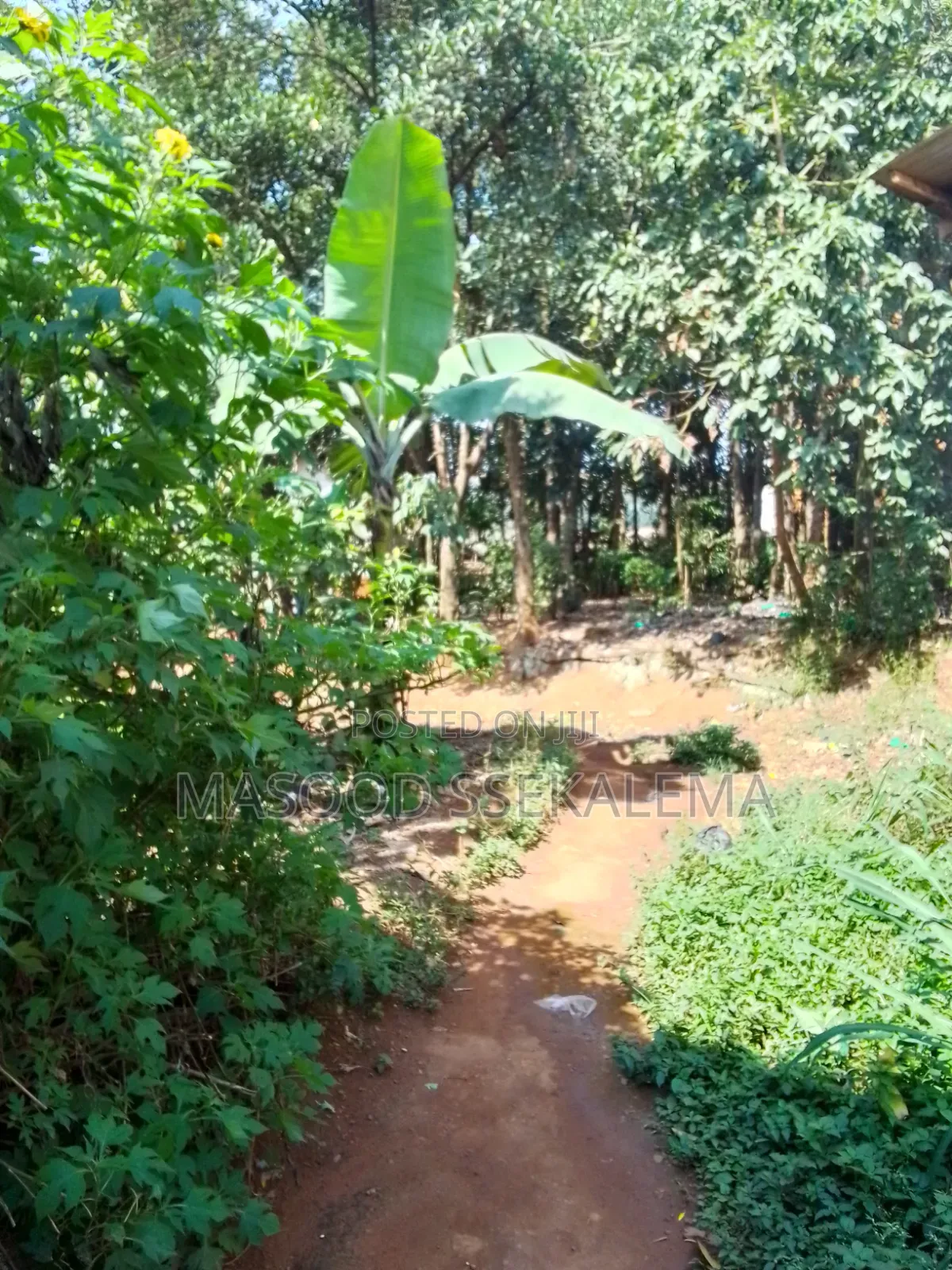 Land for Sale: 32 Decimals at Makerere Near Makerere University