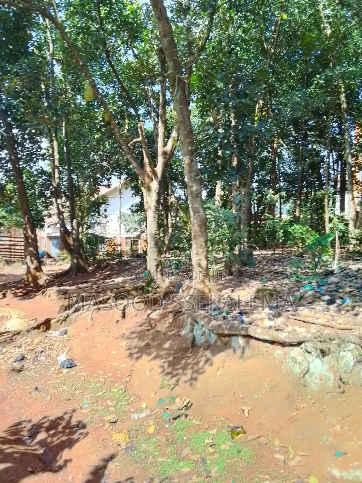 Land for Sale: 32 Decimals at Makerere Near Makerere University