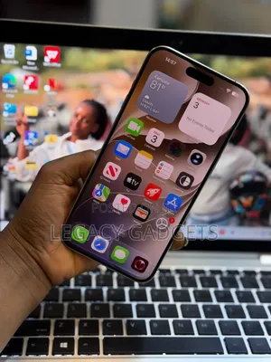 Apple iPhone 15 Pro Max 256 GB Gray