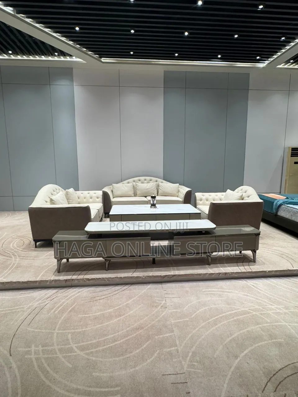 Luxury Sofa Chair 3+2+1