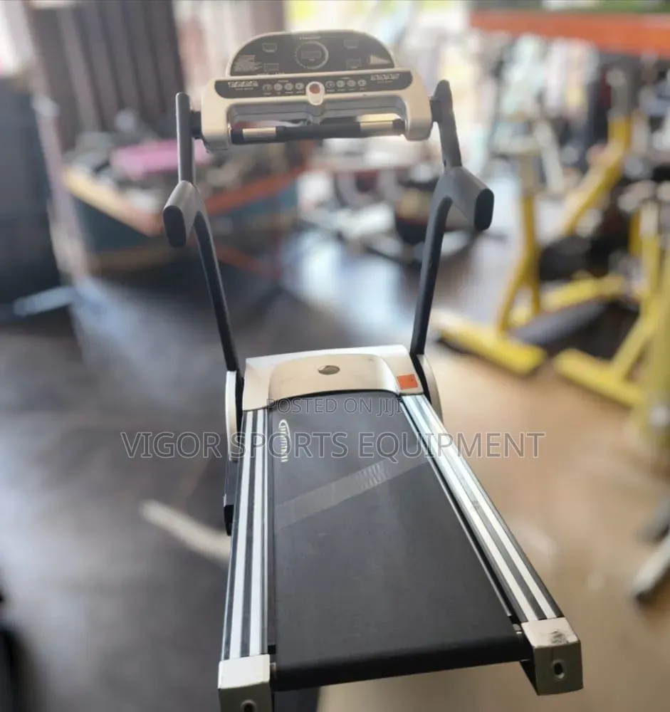 Sunny Fitness Treadmill