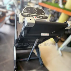 Sunny Fitness Treadmill