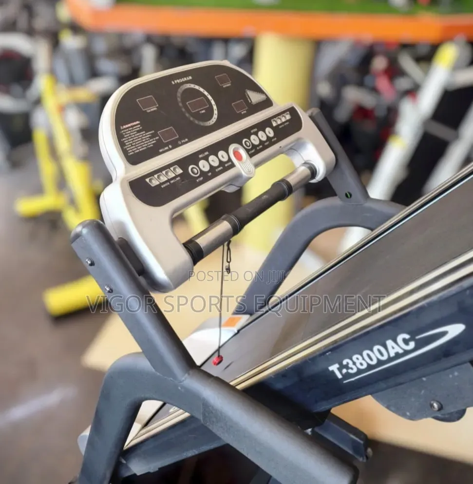 Sunny Fitness Treadmill