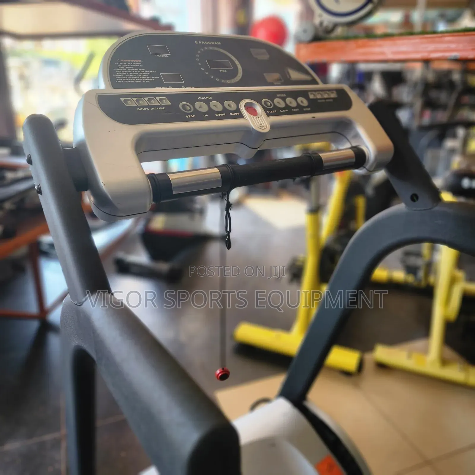 Sunny Fitness Treadmill