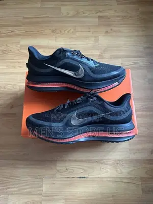 Nike Pegasus Premium