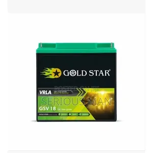 24AH Solar Battery Fast Charging Sealed Rechargeable Dep Cycle Battery