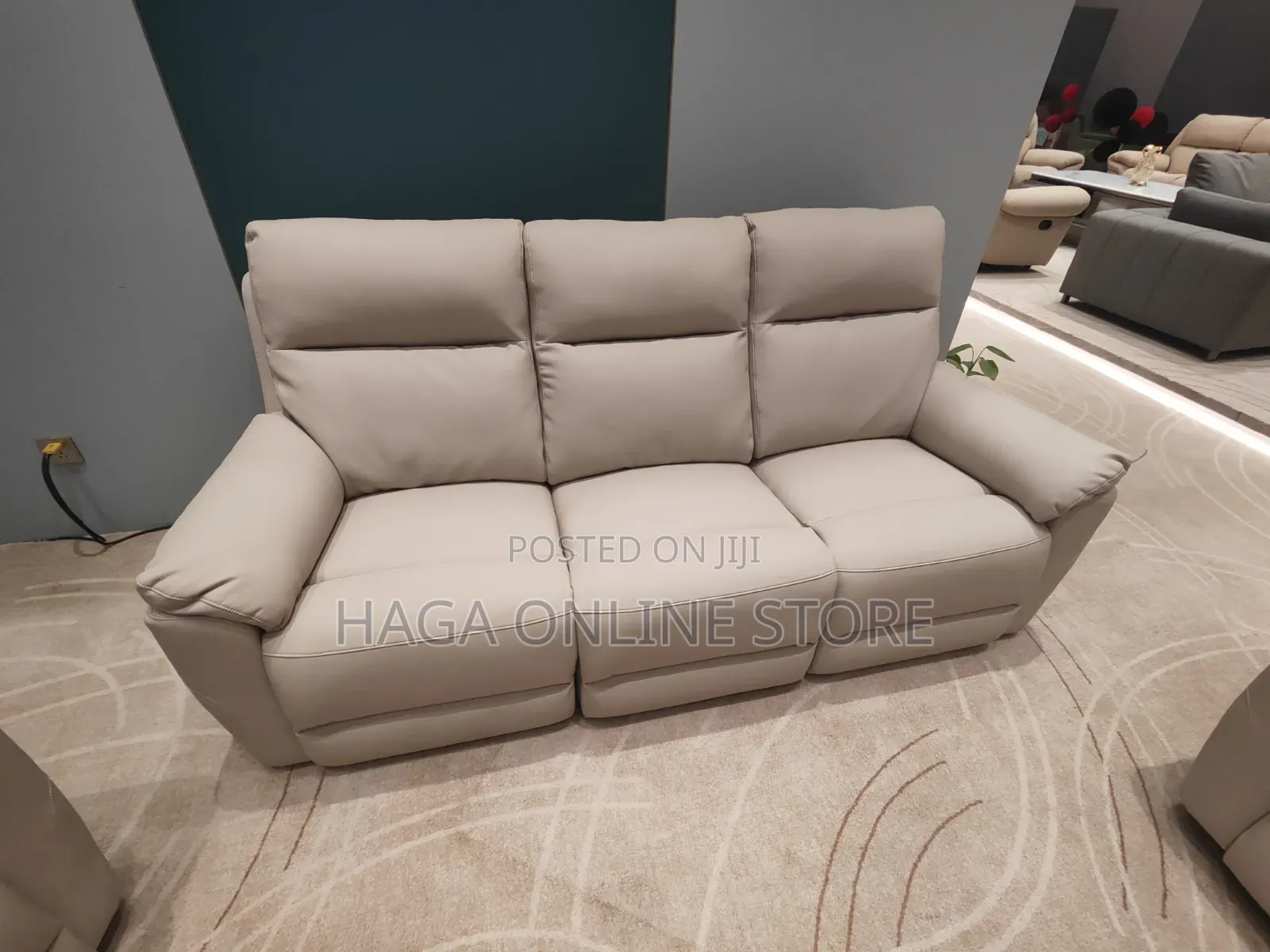 Electric Leather Recliner Sofa