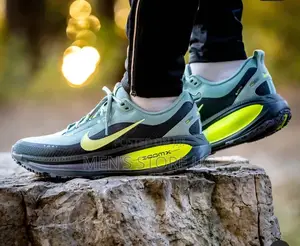 Nike Vomero 18 Gore-Tex
