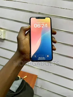 Apple iPhone 11 Pro Max 256 GB Gray