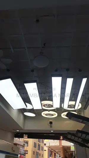 Ceiling Light