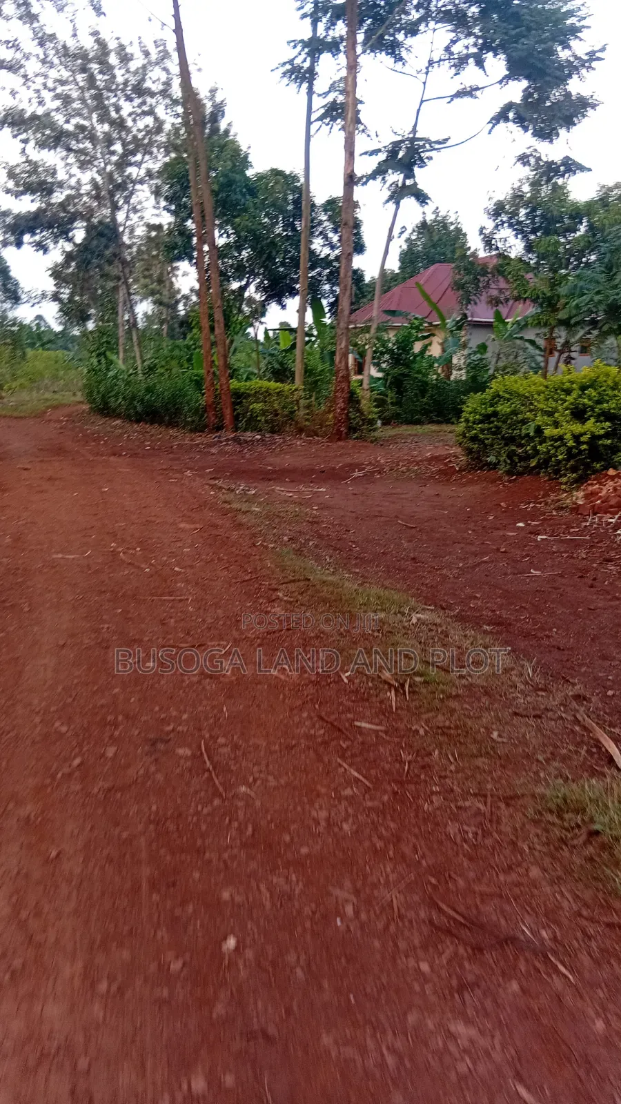 50 × 130ft Freehold Titled, Namizi Budondo, Jinja North