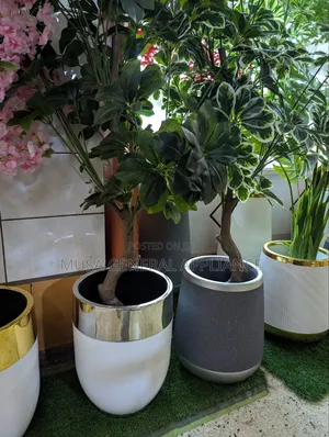 White and Silver-Trimmed Modern Planter