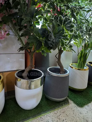 White and Silver-Trimmed Modern Planter