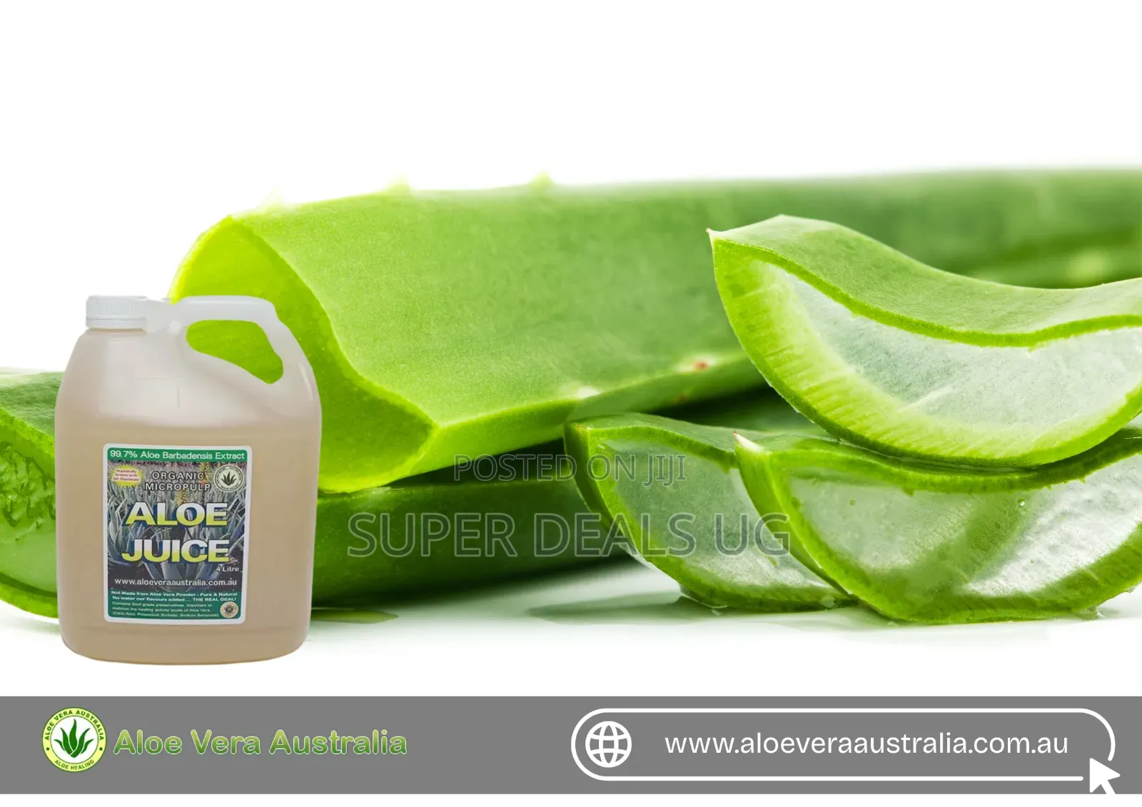 Aloe Vera Fresh Juice