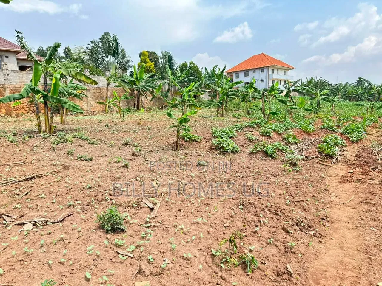 Prime Plot for Sale Located in Kira-Mulawa