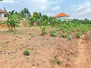 Prime Plot for Sale Located in Kira-Mulawa