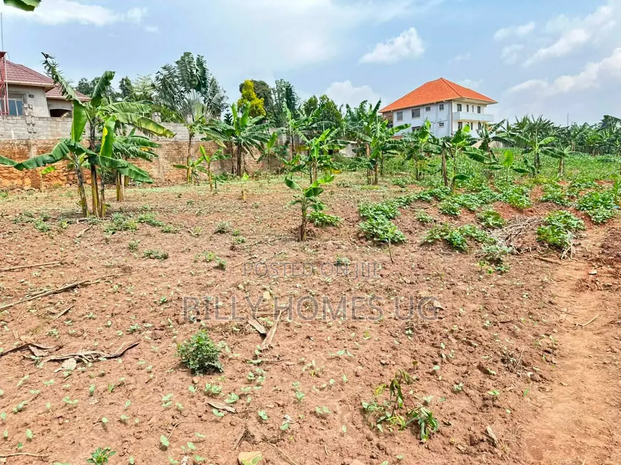 Prime Plot for Sale Located in Kira-Mulawa