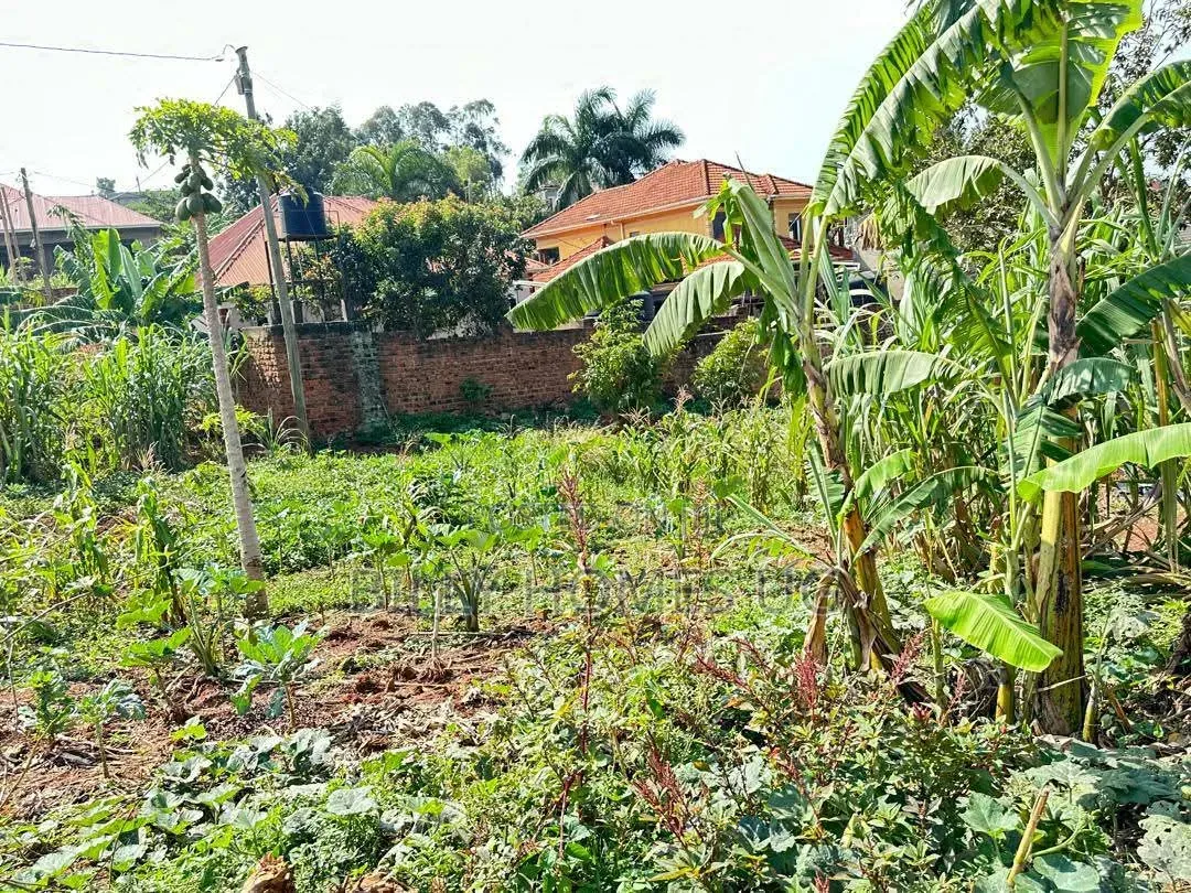 Prime Plot for Sale Located in Kira-Nsasa