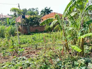 Prime Plot for Sale Located in Kira-Nsasa