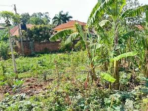 Prime Plot for Sale Located in Kira-Nsasa