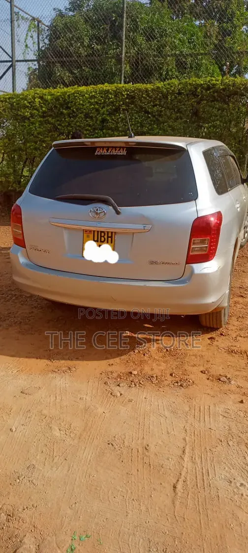 Toyota Corolla Fielder 2007 Silver