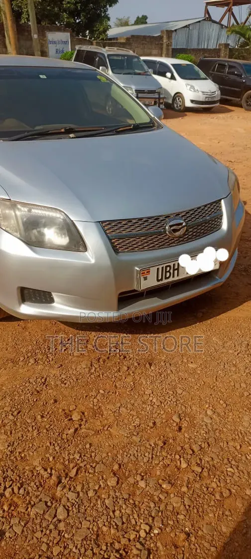 Toyota Corolla Fielder 2007 Silver