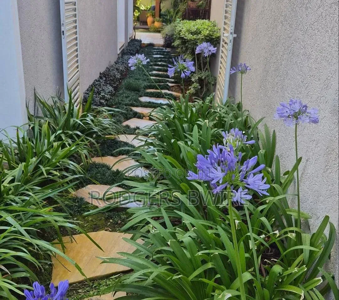 Compound Designing,landscaping and Artwork This Beautifies Thecompound