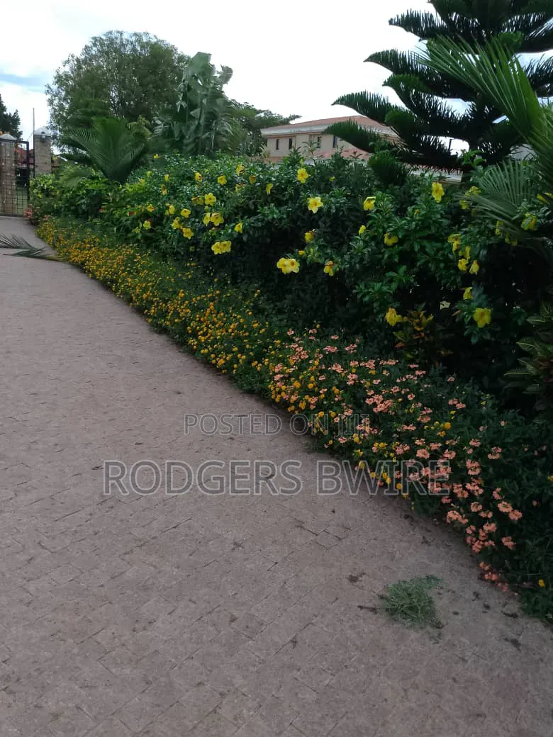 Compound Designing,landscaping and Artwork This Beautifies Thecompound