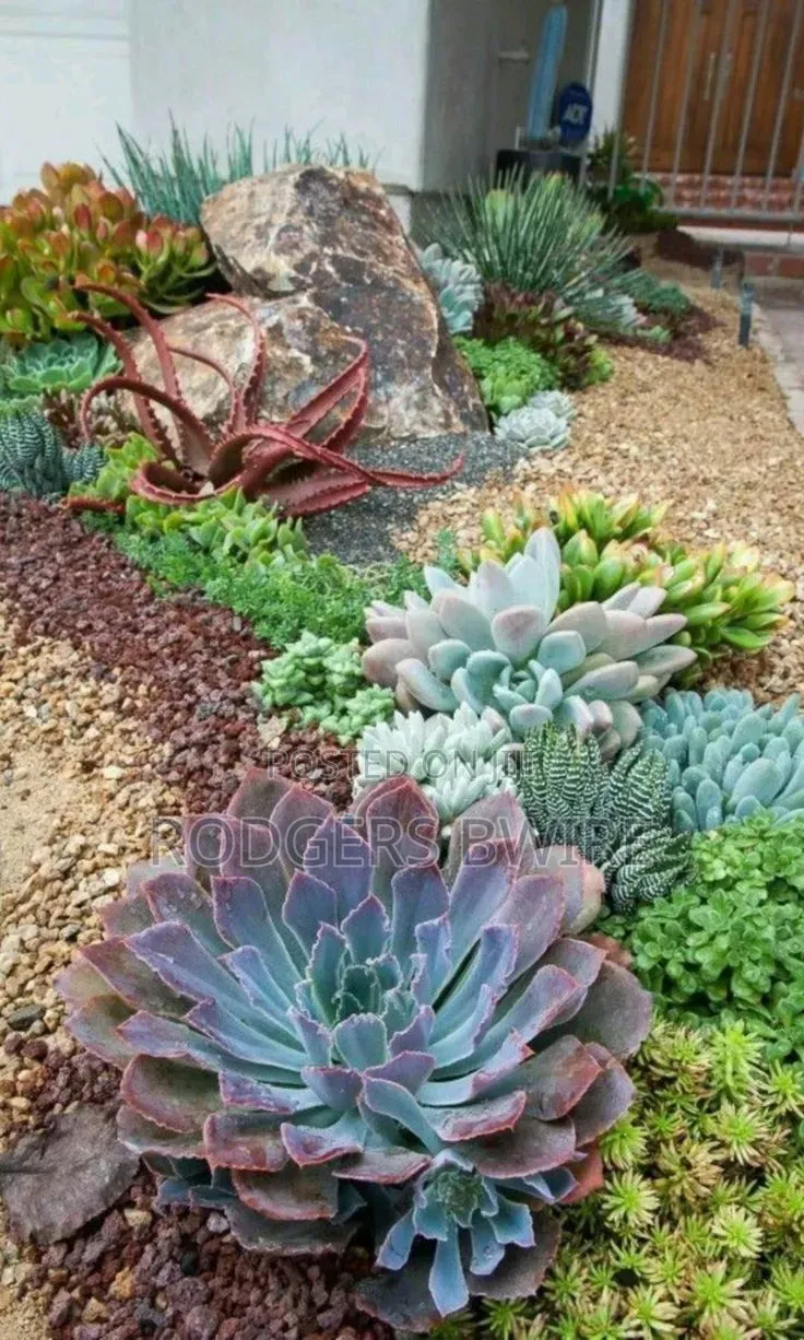 Compound Designing,landscaping and Artwork This Beautifies Thecompound